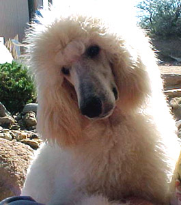 Logan Before Haircut