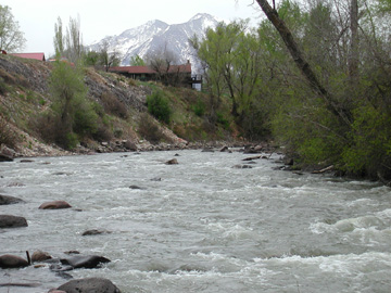 A more distant view of the Crystal River.