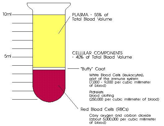 centrifuged blood components