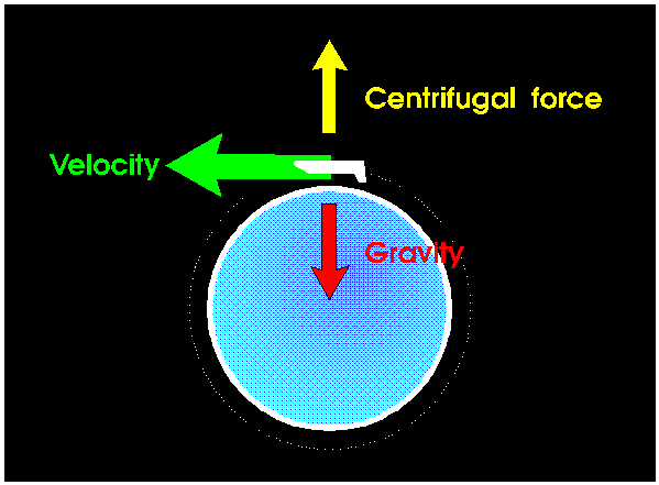 force and gravity