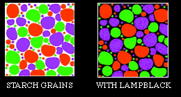 [Photo showing grain with & withhout lampblack]