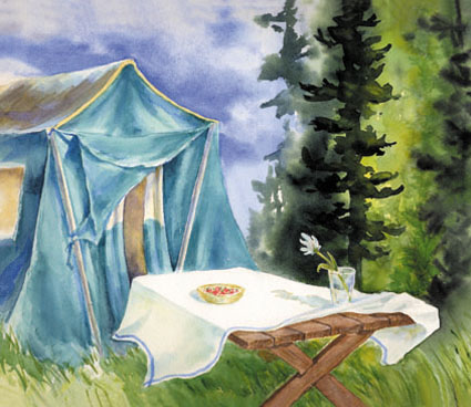 Whidbey Island campsite